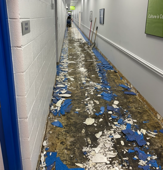 Demo removal and finishing